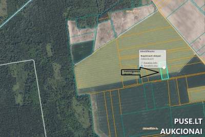 Žemės ūkio paskirties sklypas Radviliškio rajone, Aldoniškio kaime, 6000 EUR