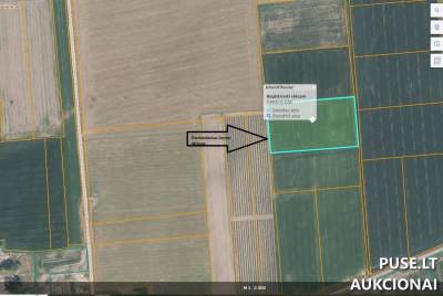 1.25 ha Žemės ūkio paskirties sklypas Radviliškio rajone, Alksniupių kaime, pradinė kaina 10000 EUR