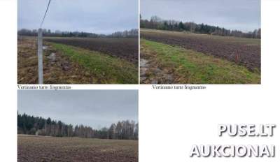 Žemės sklypas Širvintų rajone, Žarnavagių kaime, pradinė kaina 41040 EUR