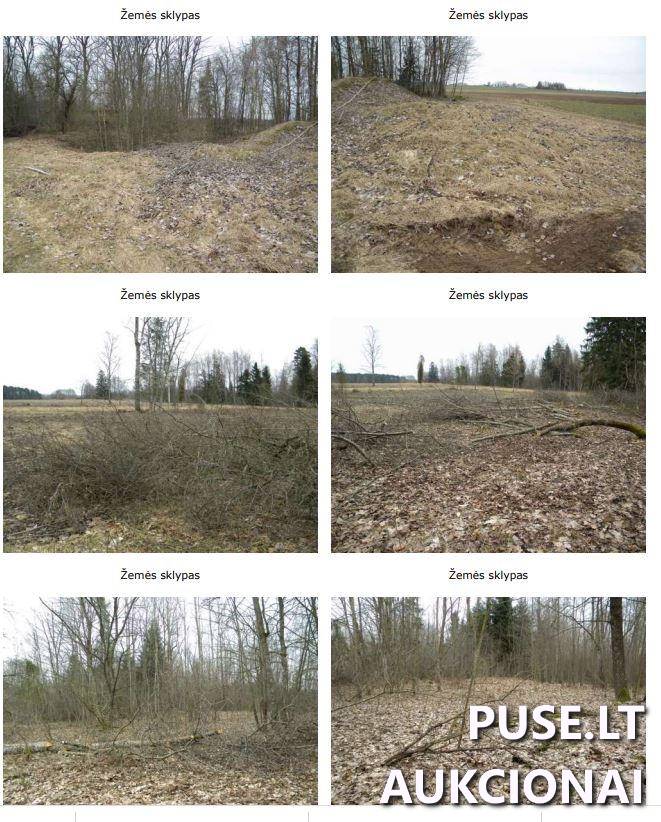 Žemės sklypas Sklypai Mantvydai 1, 88201, Upynos sen., Telšių r. sav. 4