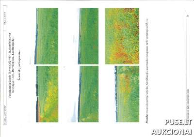 Žemės ūkio sklypas Kretingos rajone, Lazdininkų kaime, 0.4794 ha, pradinė kaina 4560 EUR