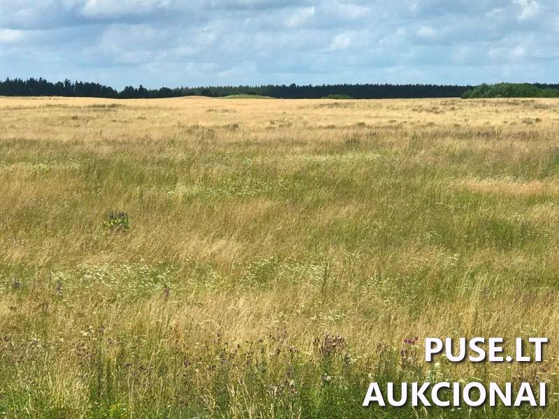 Žemės sklypas Sklypai Vilniaus g., Našiūnai, Sužionių sen., Vilniaus r. sav. 4