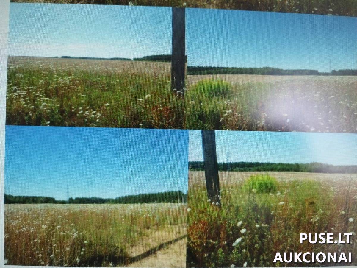 Žemės sklypas Sklypai Turgaičių g., Turgaičiai, Senųjų Trakų sen., Trakų r. sav. 3