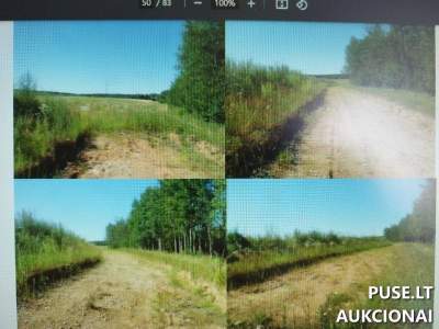 Žemės sklypai Trakų r. sav., Turgaičių k. parduodami aukcione nuo 5952 EUR