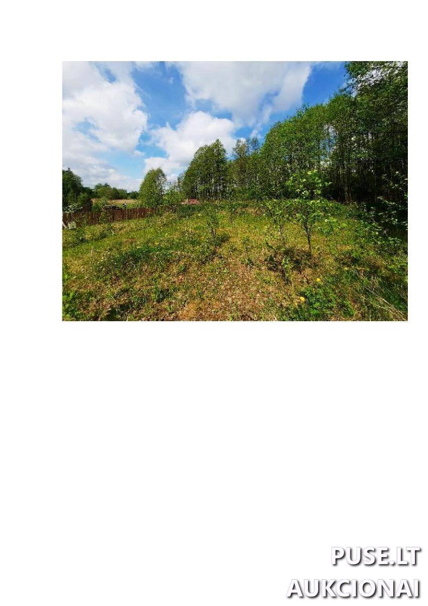 Žemės sklypas Sklypai Pievų g. 3, 64206 Gečialaukis, Nemunaičio sen., Alytaus r. sav. 4