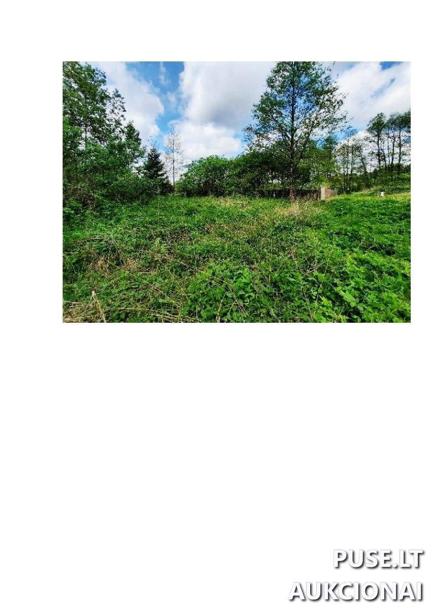 Žemės sklypas Sklypai Pievų g. 9, 64206 Gečialaukis, Nemunaičio sen., Alytaus r. sav. 2