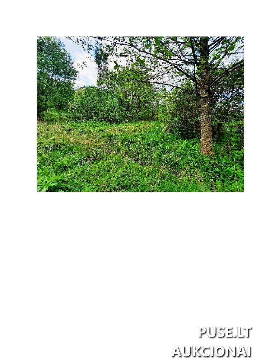 Žemės sklypas Sklypai Pievų g. 9, 64206 Gečialaukis, Nemunaičio sen., Alytaus r. sav. 4