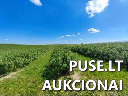Žemės sklypas Sklypai Skersabaliai I, Liudvinavo sen., Marijampolės sav. 5
