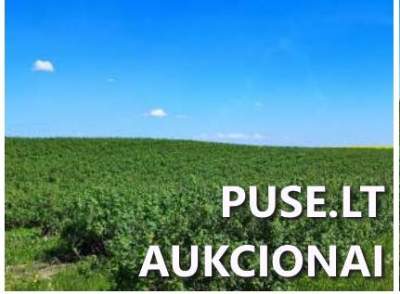 Žemės sklypo dalies pardavimas aukcione Marijampolės sav., pradinė kaina 44960 EUR