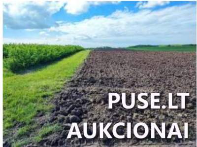 Žemės sklypas Marijampolės savivaldybėje, Tarašiškių kaime, pradinė kaina 12080 EUR