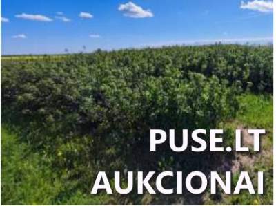 Parduodamas žemės sklypas Marijampolės r., Tarašiškių k., pradinė kaina 880 EUR