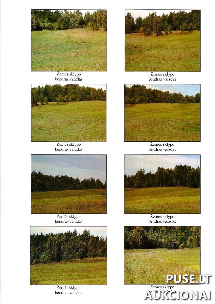 Žemės sklypas Sklypai Mieliūnai, Daugų sen., Alytaus r. sav. 3