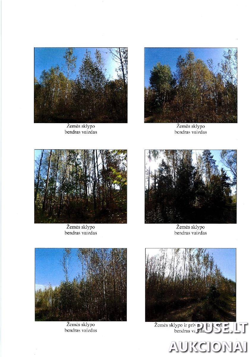 Žemės sklypas Sklypai Kareivonys, Jakėnų sen., Varėnos r. sav. 3
