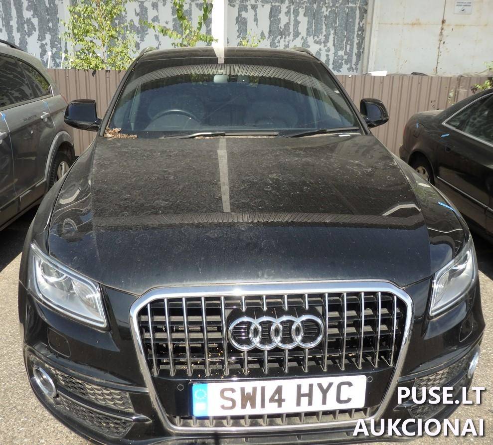 Audi Q5 Lengvasis automobilis 1