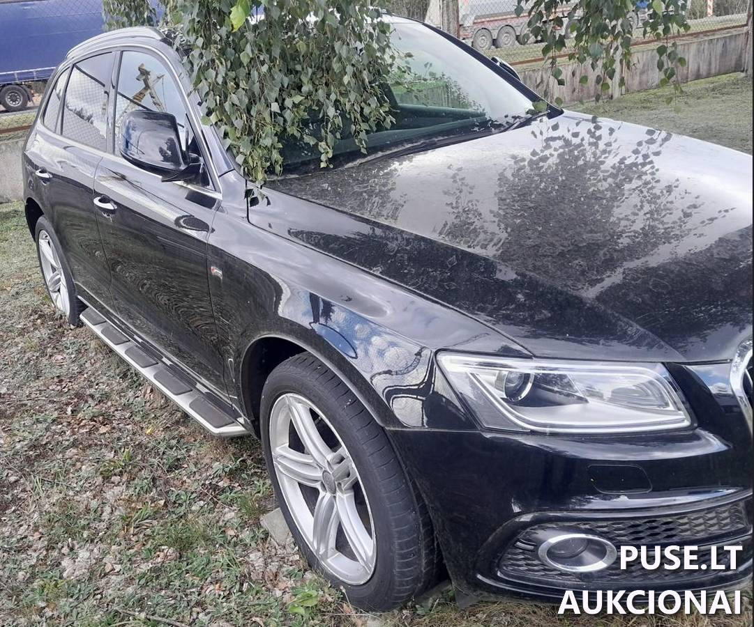 Audi Q5 Lengvasis automobilis 2