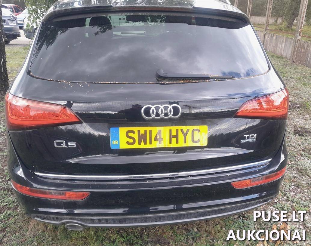 Audi Q5 Lengvasis automobilis 4
