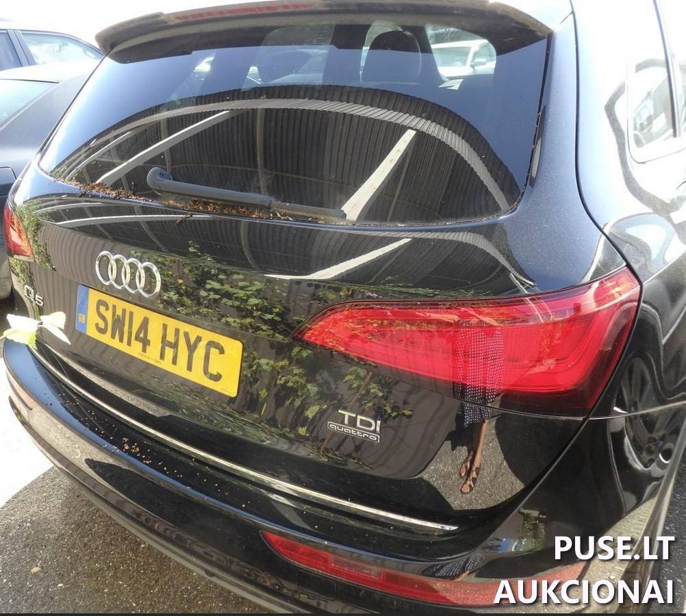 Audi Q5 Lengvasis automobilis 10