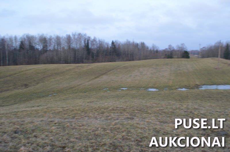 Žemės sklypas Sklypai Vilkaičiai, Žlibinų sen., Plungės r. sav. 4
