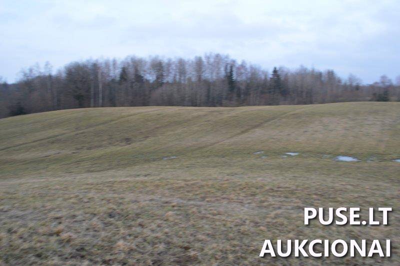 Žemės sklypas Sklypai Vilkaičiai, Žlibinų sen., Plungės r. sav. 5