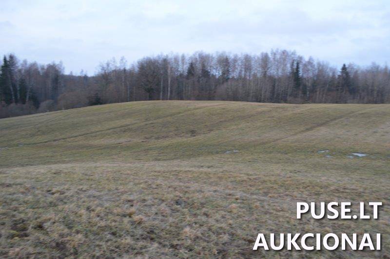 Žemės sklypas Sklypai Vilkaičiai, Žlibinų sen., Plungės r. sav. 6