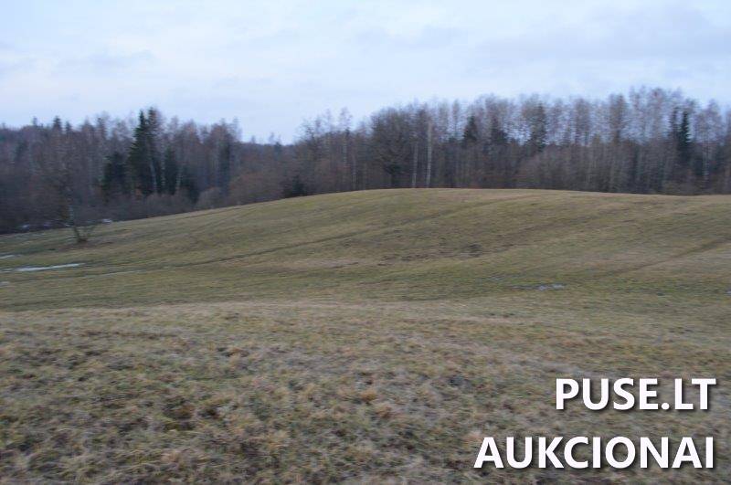 Žemės sklypas Sklypai Vilkaičiai, Žlibinų sen., Plungės r. sav. 7