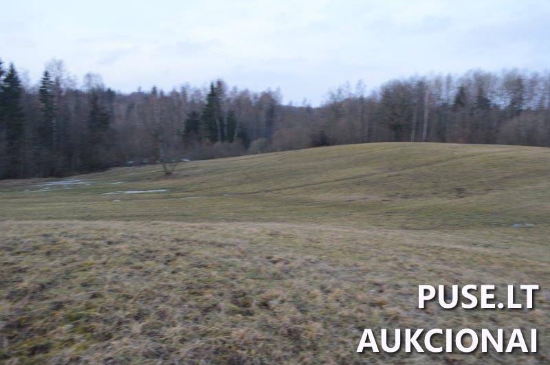 Žemės sklypas Sklypai Vilkaičiai, Žlibinų sen., Plungės r. sav. 8