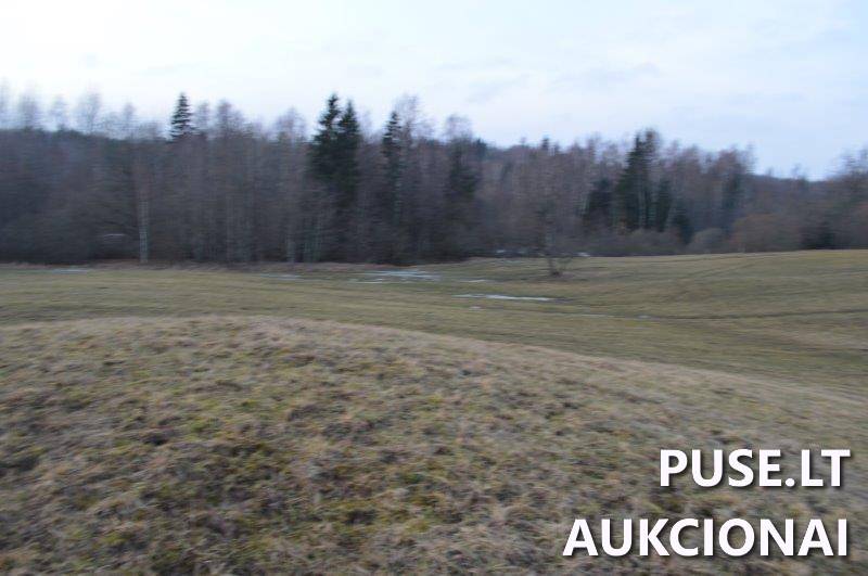 Žemės sklypas Sklypai Vilkaičiai, Žlibinų sen., Plungės r. sav. 9