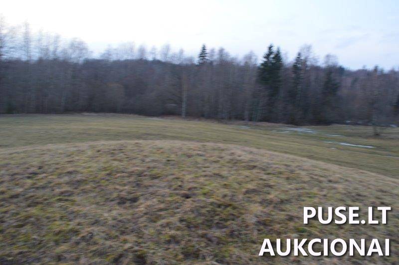 Žemės sklypas Sklypai Vilkaičiai, Žlibinų sen., Plungės r. sav. 10