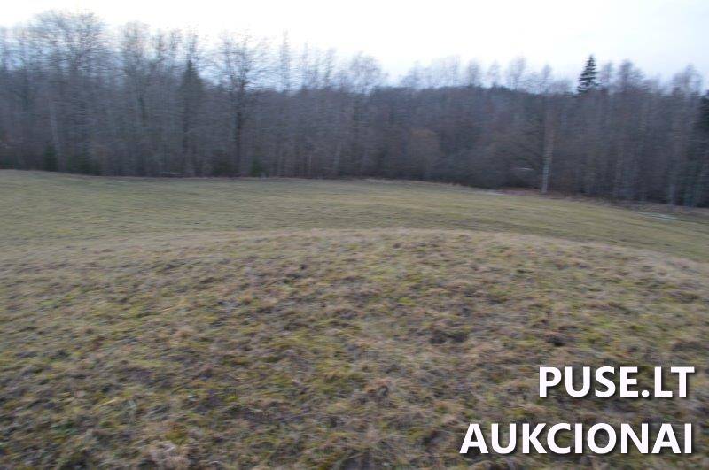 Žemės sklypas Sklypai Vilkaičiai, Žlibinų sen., Plungės r. sav. 11