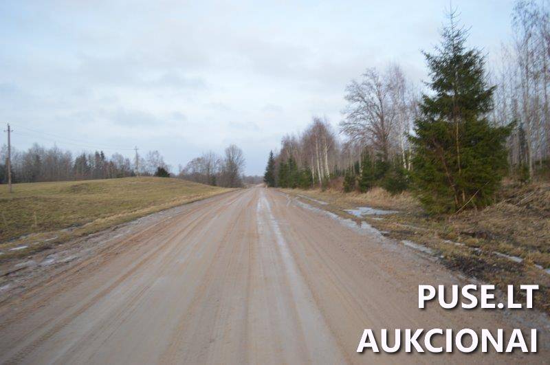 Žemės sklypas Sklypai Vilkaičiai, Žlibinų sen., Plungės r. sav. 13