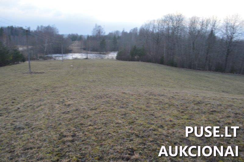 Žemės sklypas Sklypai Vilkaičiai, Žlibinų sen., Plungės r. sav. 14