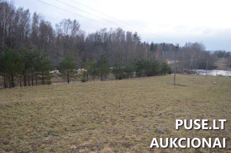 Žemės sklypas Sklypai Vilkaičiai, Žlibinų sen., Plungės r. sav. 16