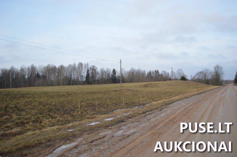 Žemės sklypas Sklypai Vilkaičiai, Žlibinų sen., Plungės r. sav. 18