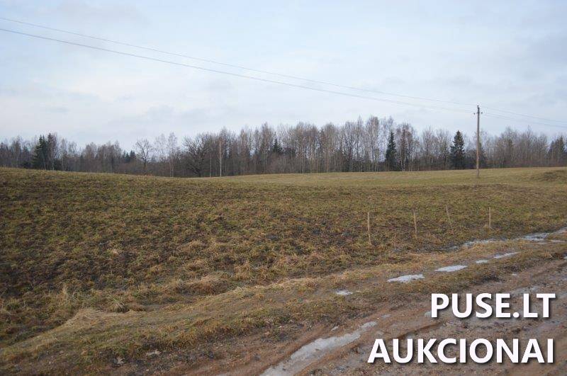 Žemės sklypas Sklypai Vilkaičiai, Žlibinų sen., Plungės r. sav. 19
