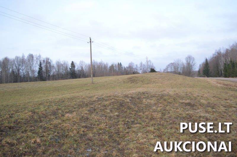 Žemės sklypas Sklypai Vilkaičiai, Žlibinų sen., Plungės r. sav. 21