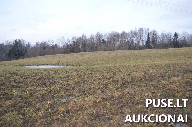 Žemės sklypas Sklypai Vilkaičiai, Žlibinų sen., Plungės r. sav. 22