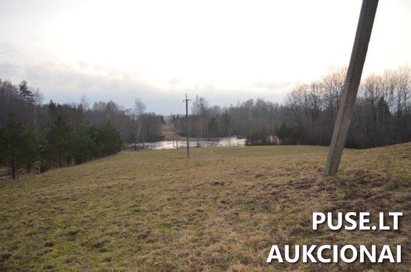 Žemės sklypas Sklypai Vilkaičiai, Žlibinų sen., Plungės r. sav. 23