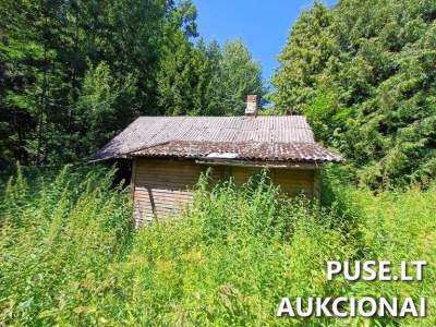 Gyvenamasis namas su ūkiniais pastatais Šakių rajone, Slavikuose, nuo 900 EUR – sklypas 0.08 ha