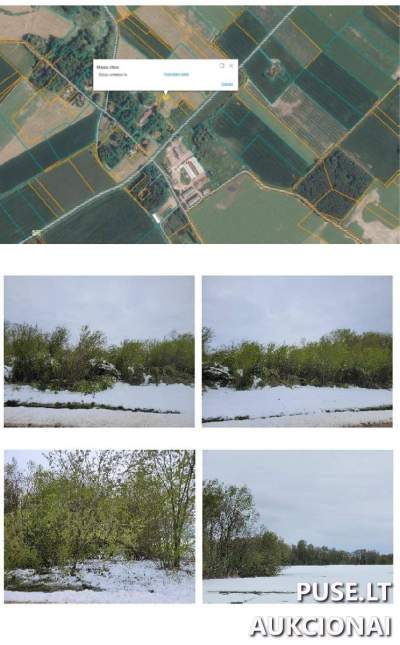 Dalinis žemės sklypas Rokiškio r., Lebedžių kaime, 630 EUR pradinė kaina, Antstolių varžytynės