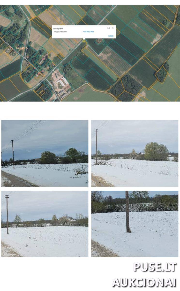 Žemės sklypas Sklypai Lebedžių g., Lebedžiai, Pandėlio sen., Rokiškio r. sav. 1