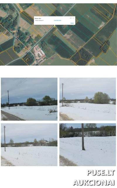 1/4 žemės sklypo dalis Rokiškio r. sav. Lebedžių kaime, pradinė kaina 1500 EUR