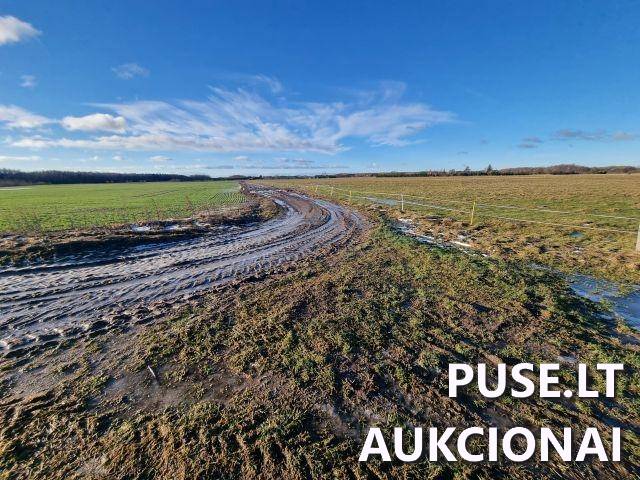 Žemės sklypas Sklypai Rudaičiai, Vėžaičių sen., Klaipėdos r. sav. 4