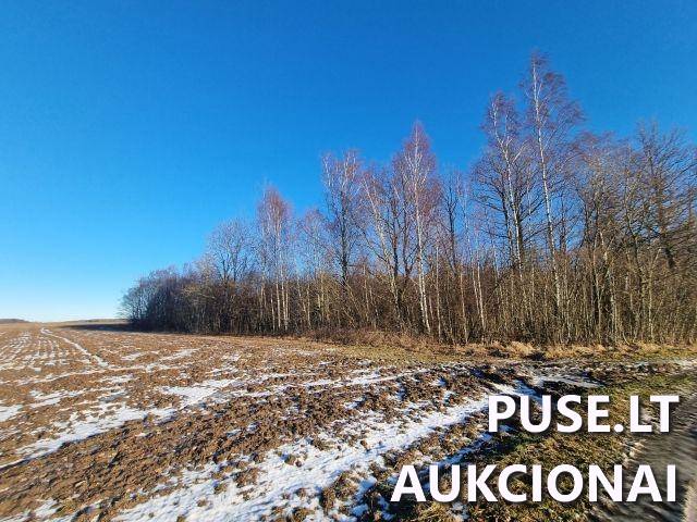 Žemės sklypas Sklypai Rudaičiai, Vėžaičių sen., Klaipėdos r. sav. 7