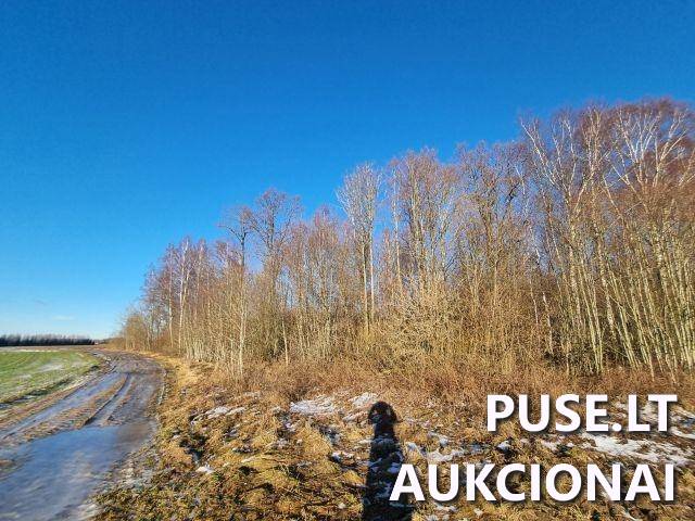 Žemės sklypas Sklypai Rudaičiai, Vėžaičių sen., Klaipėdos r. sav. 8