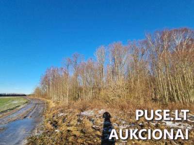 Parduodamas 14.86 ha žemės ūkio sklypas Klaipėdos rajone, Rudaičių kaime, pradinė kaina 64480 EUR