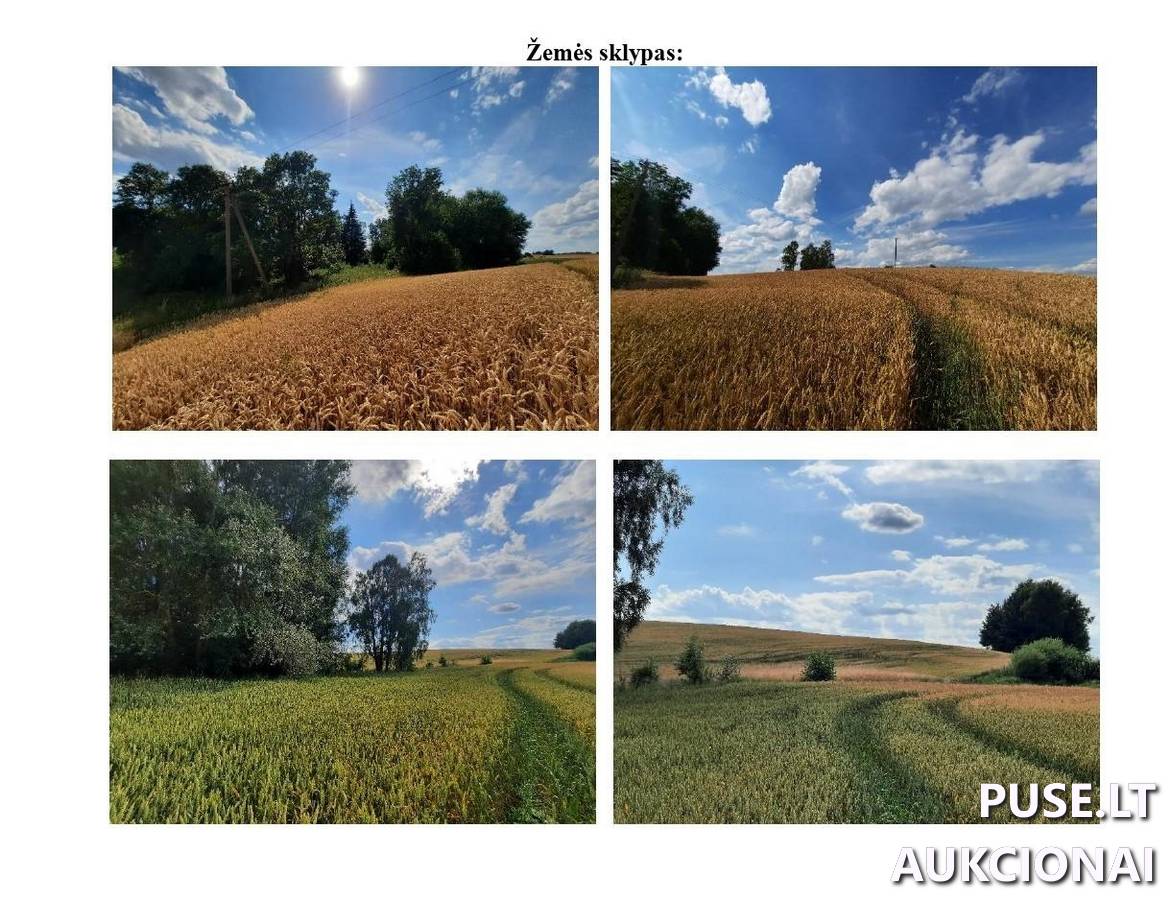 Žemės sklypas Sklypai Ežero g. 17, 59336 Dukurnonys, Jiezno sen., Prienų r. sav. 1