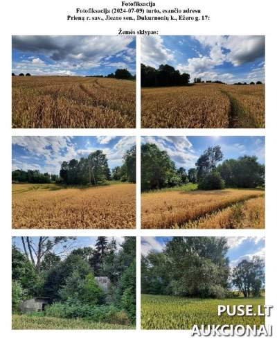 Žemės sklypas Prienų r. sav. Dukurnonių k. Ežero g. 17, 1/6 dalis, pradinė kaina 2400 EUR