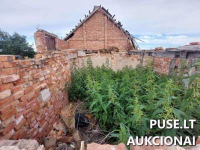Patalpos Pasvalio r. Kidžionių k. su ūkiniu pastatu už 324 EUR viešame aukcione