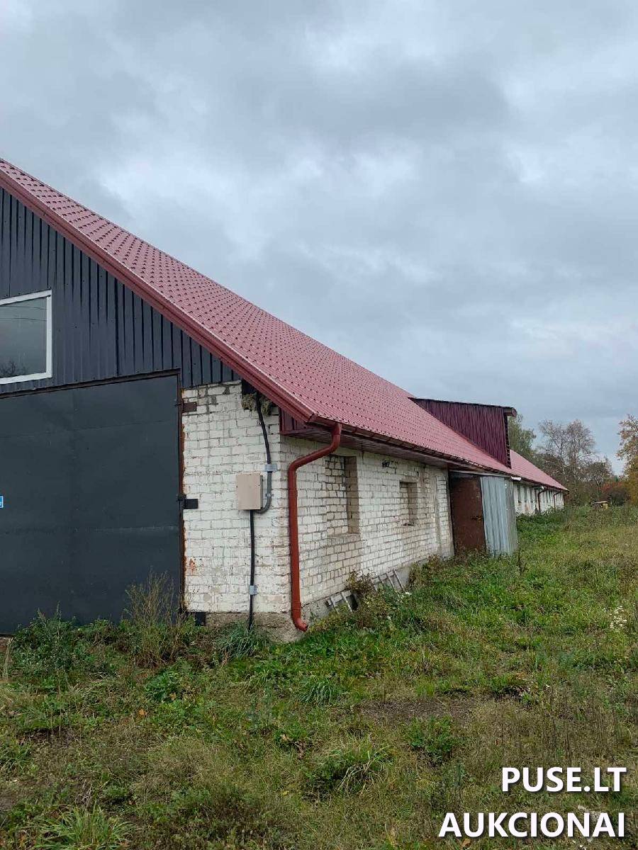 Kiaulidė Pastatai Poškiečiai, Lygumų sen., Pakruojo r. sav. 1