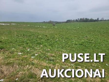 Žemės sklypas Sklypai Kumpuoliai, Antazavės sen., Zarasų r. sav. 2